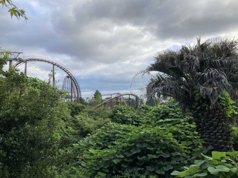 hỹp̃ẽ_はいぽたんさんのよみうりランド眺望温泉 花景の湯のサ活写真