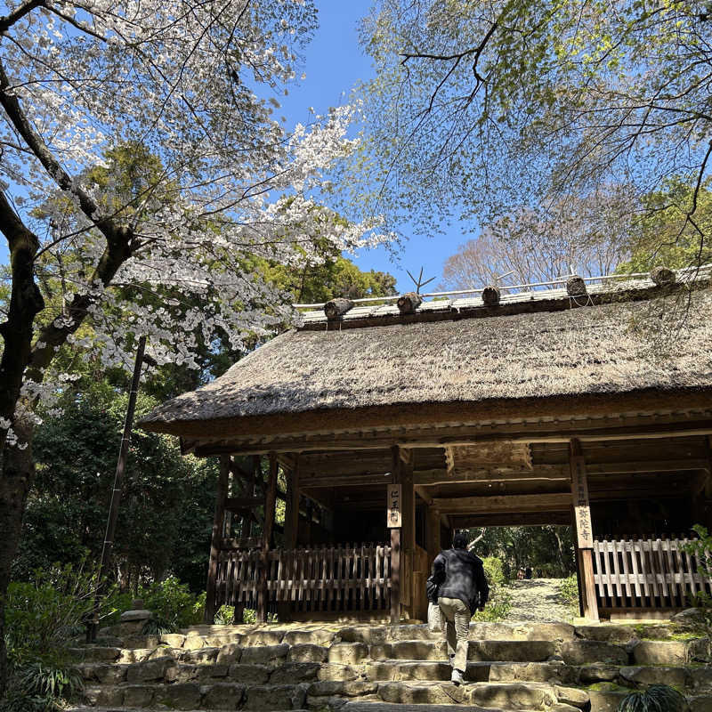 たかさんの東大寺別院阿弥陀寺 石風呂のサ活写真