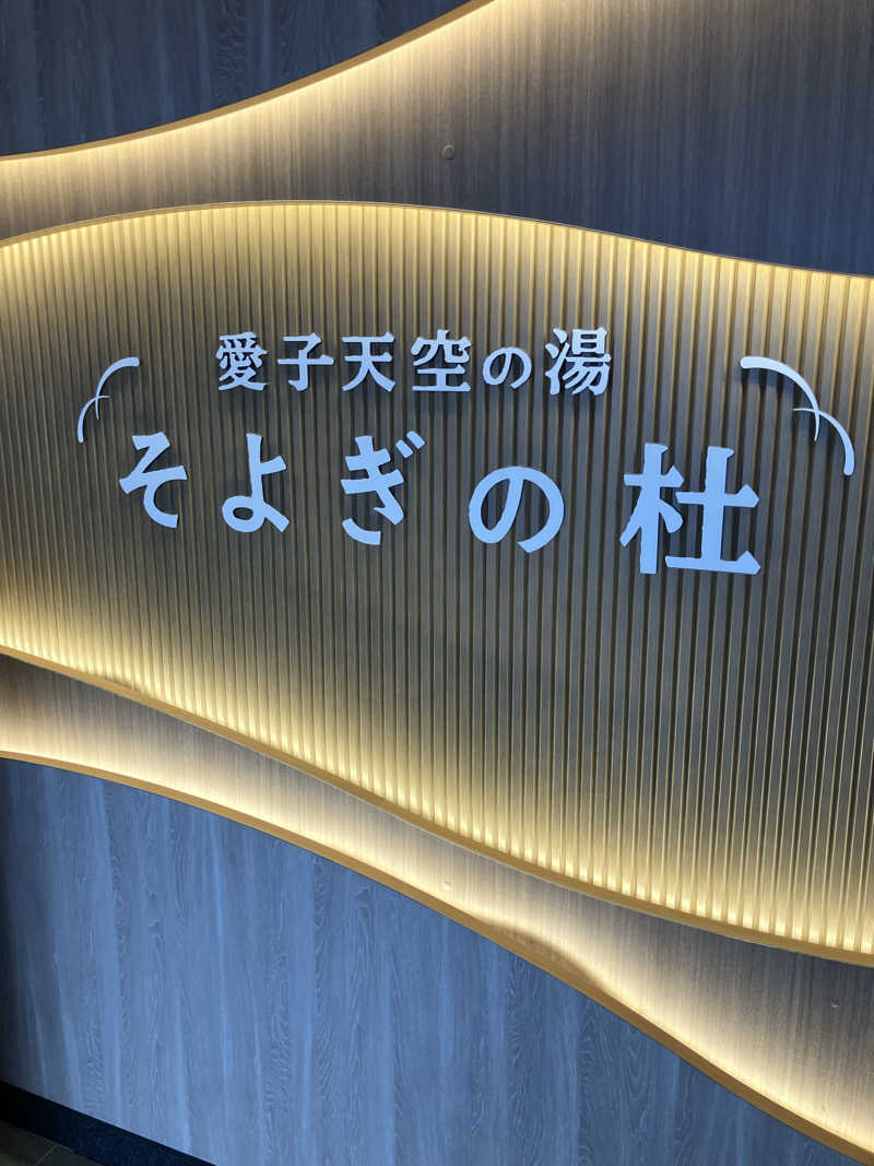 大三治さんの愛子天空の湯 そよぎの杜のサ活写真