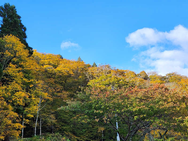 junさんの五色温泉オートキャンプ場のサ活写真