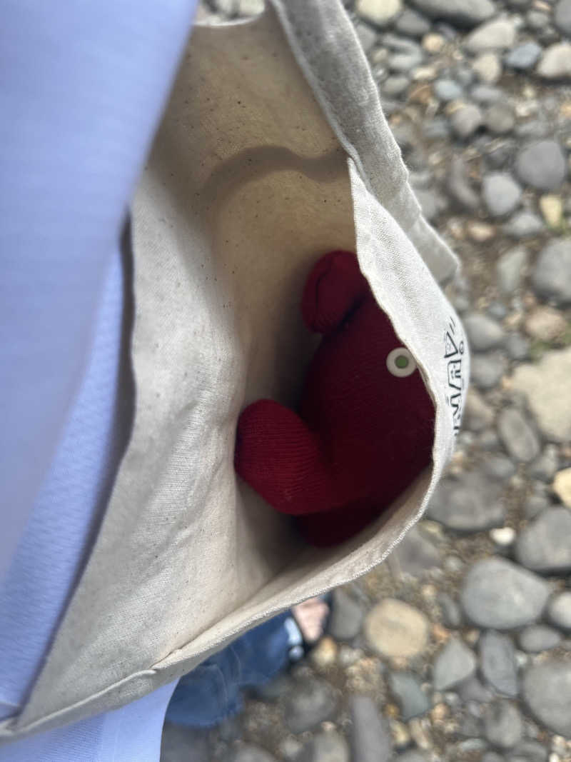 サカスさんのさやみじゅテントサウナイベントのサ活写真