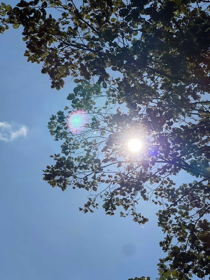 サカスさんのさやみじゅテントサウナイベントのサ活写真