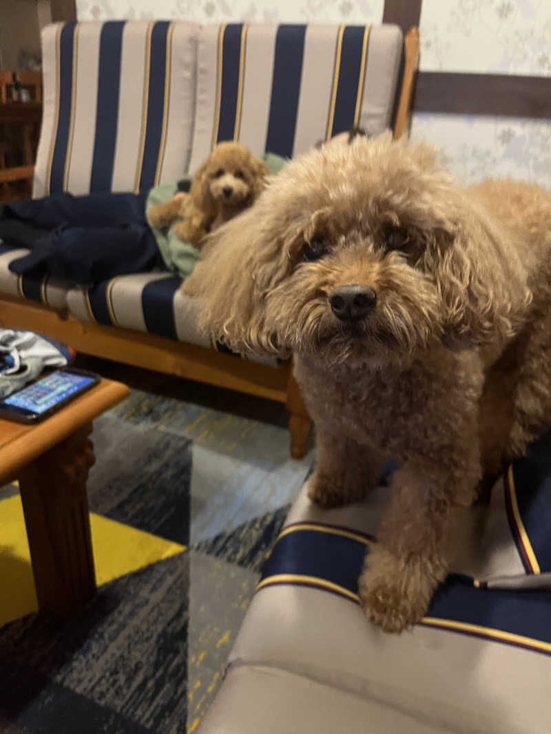 サカスさんの十勝エアポートスパ そらのサ活写真