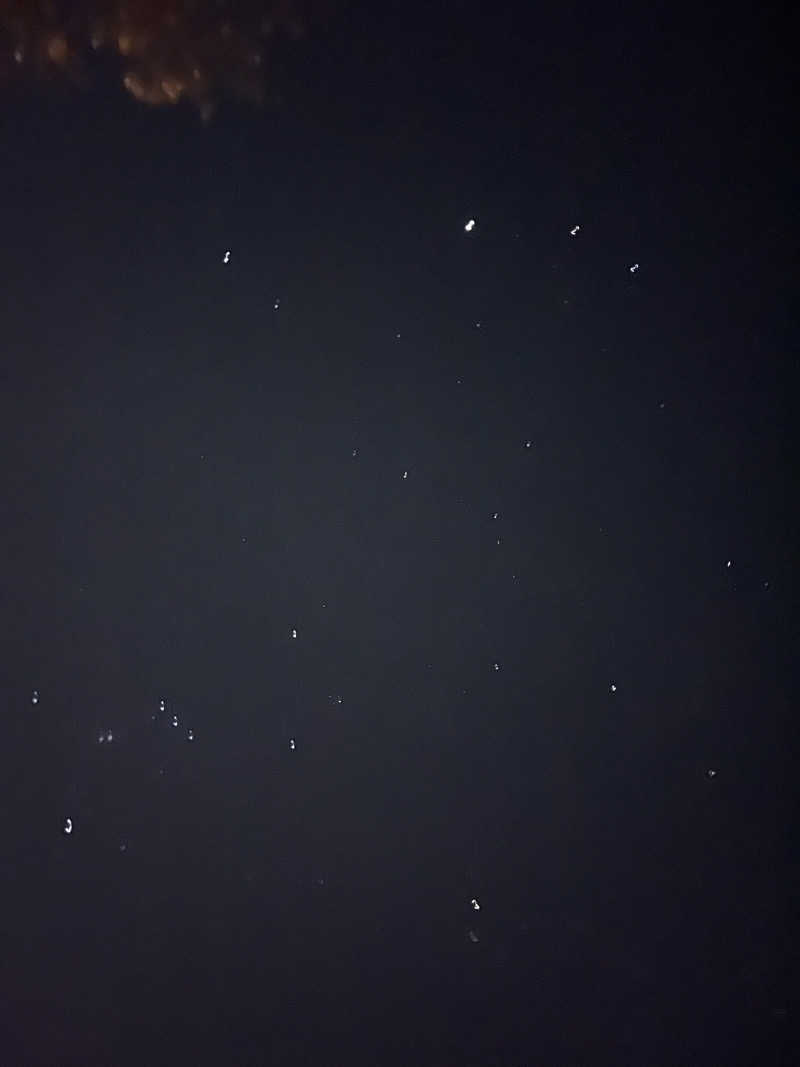 サカスさんのひまわり温泉のサ活写真