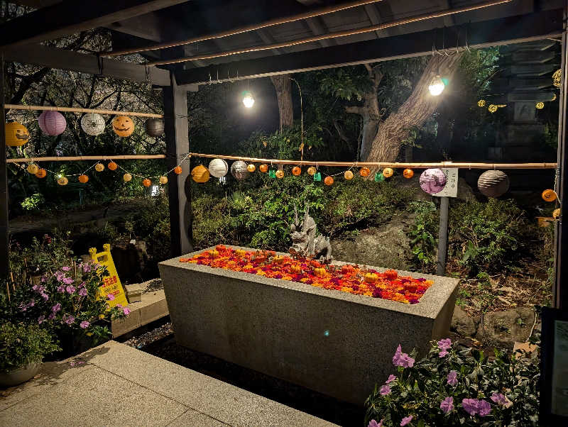 れんとらさんのよみうりランド眺望温泉 花景の湯のサ活写真