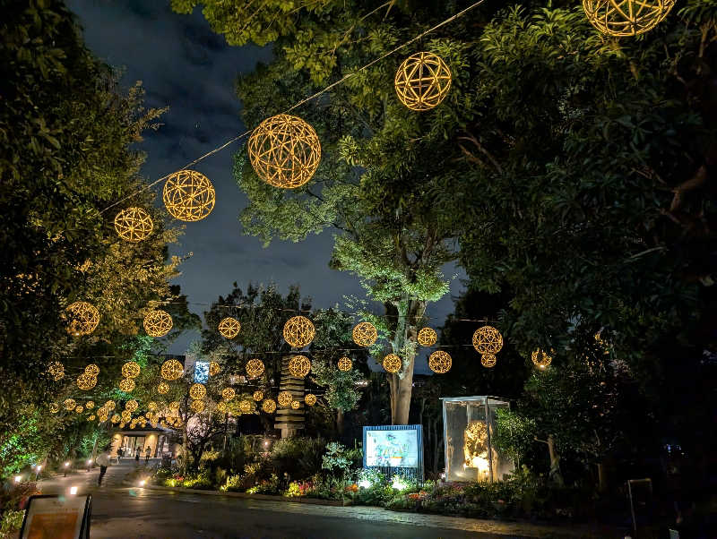 れんとらさんのよみうりランド眺望温泉 花景の湯のサ活写真