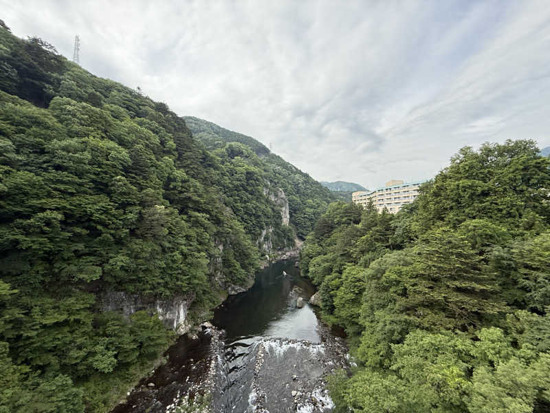 こうきさんの鬼怒川プラザホテルのサ活写真