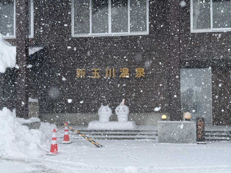 こうきさんの新玉川温泉のサ活写真