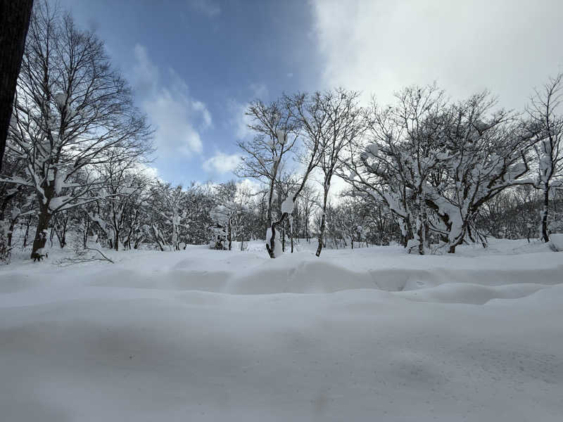 こうきさんの新玉川温泉のサ活写真