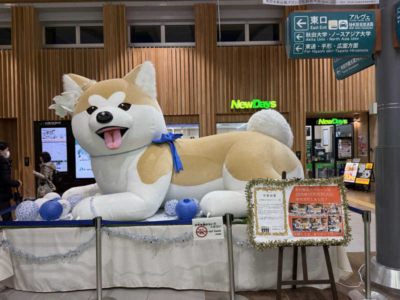 こうきさんの田沢湖水沢温泉郷 セルリアンリゾートAONIのサ活写真