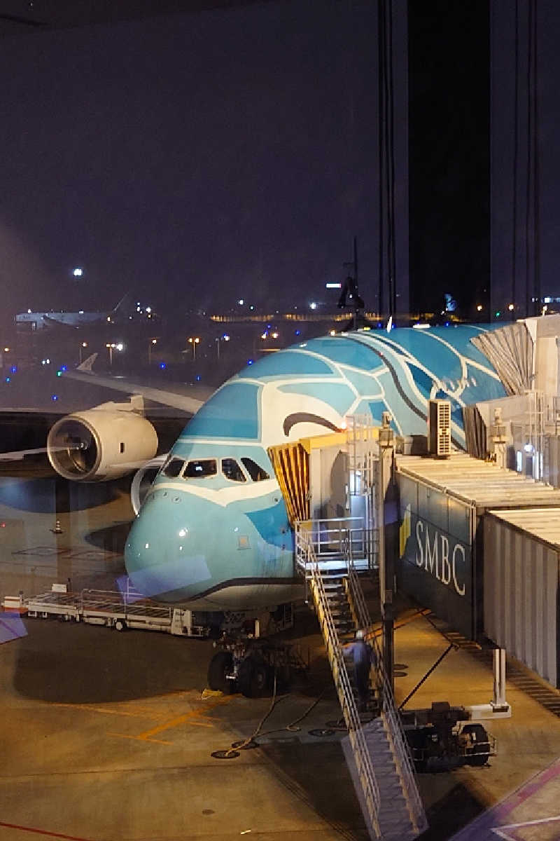 pidetraさんの成田空港温泉 空の湯のサ活写真