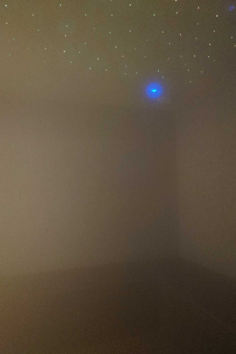 pidetraさんのヒルトン グラスゴーのサ活写真