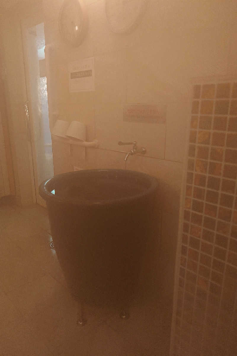 pidetraさんのゴールデンスパ・ニューオータニのサ活写真