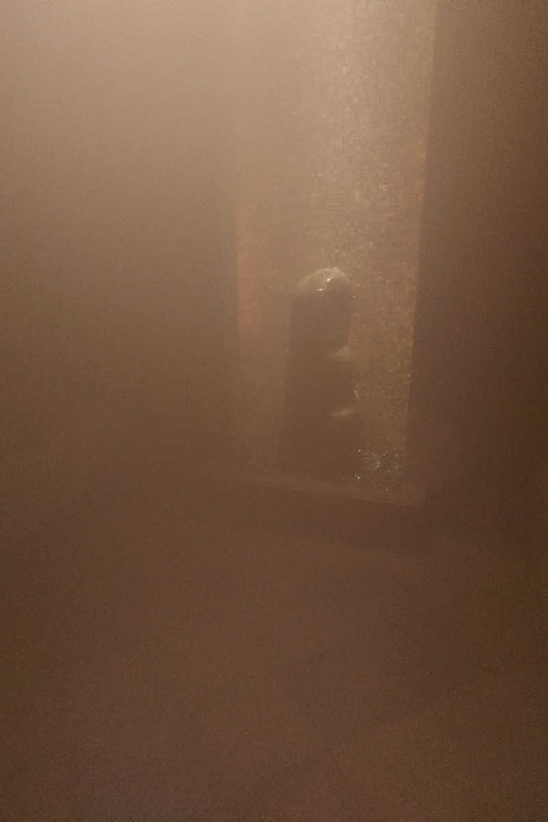 pidetraさんのザ・ペニンシュラ東京 ザ・ペニンシュラ スパのサ活写真