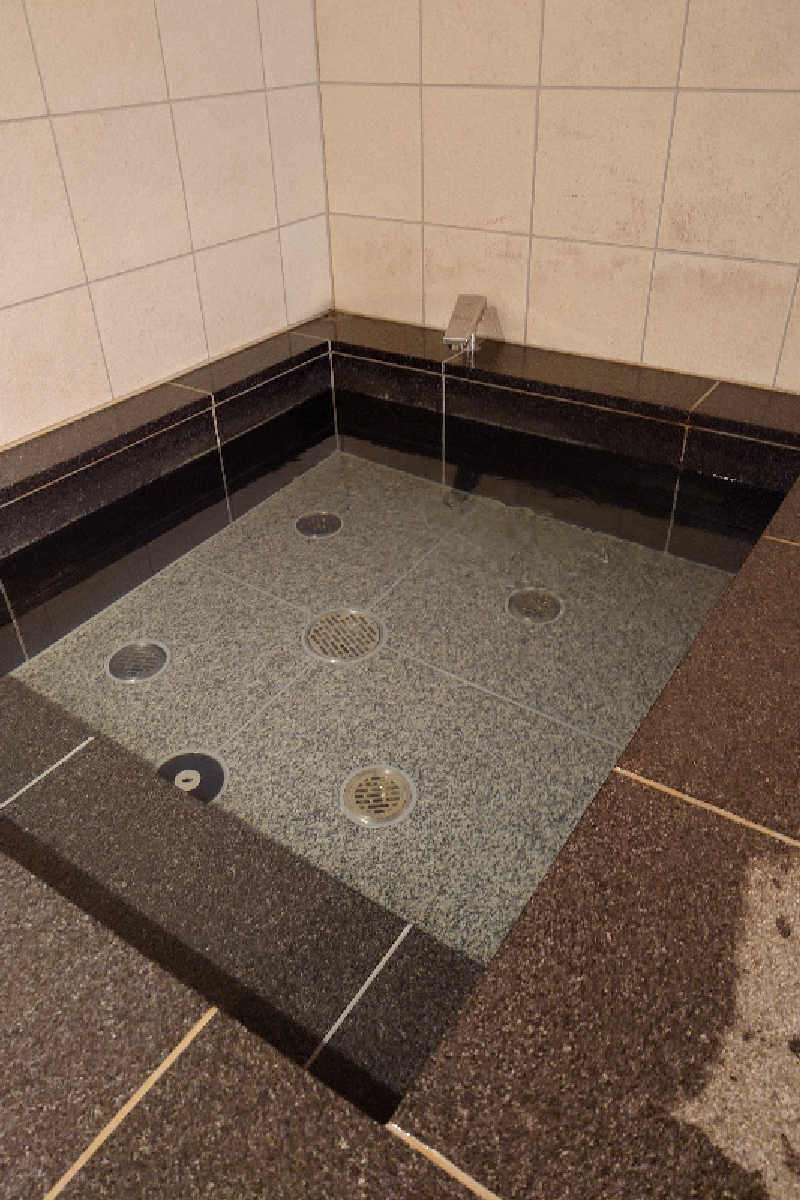 pidetraさんのからくさホテルグランデ新大阪タワーのサ活写真