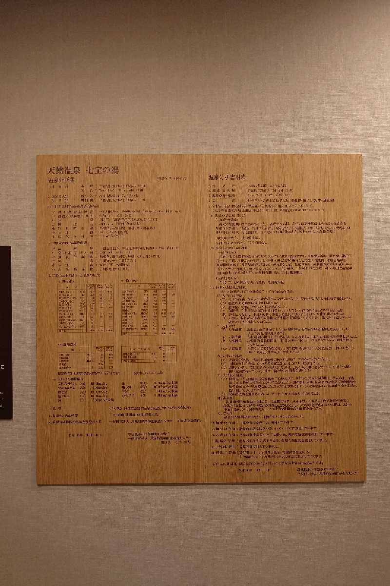 pidetraさんの天然温泉七宝の湯 ドーミーインPREMIUM銀座のサ活写真