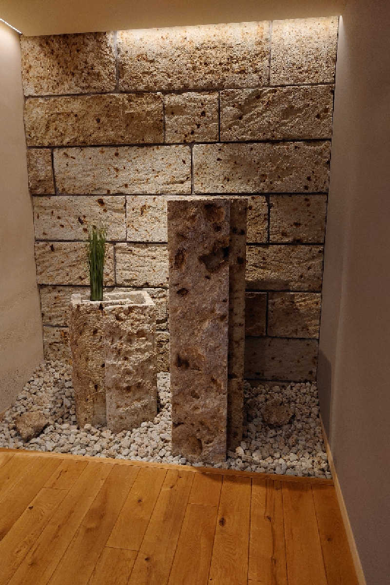 pidetraさんの天然温泉七宝の湯 ドーミーインPREMIUM銀座のサ活写真