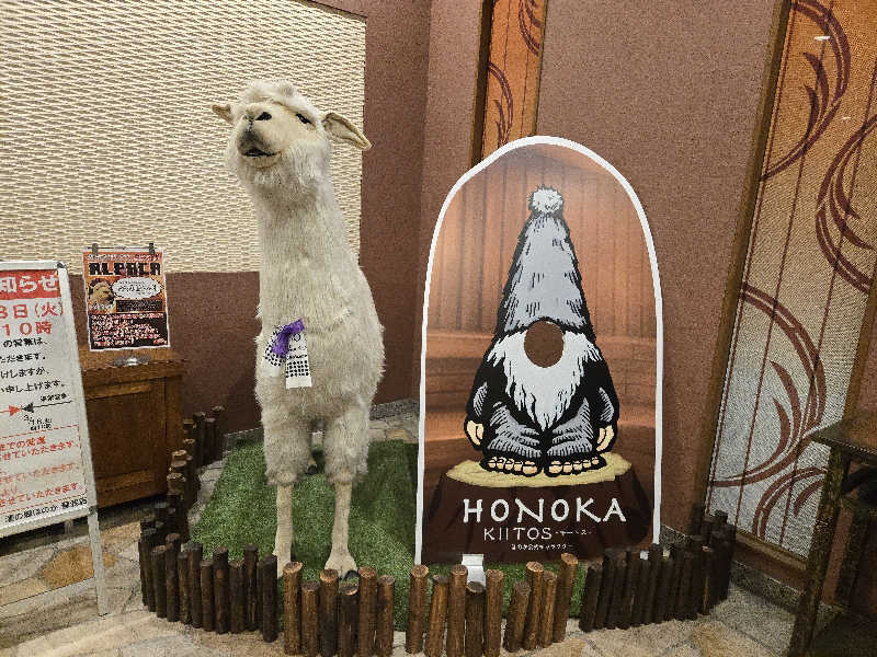 durianさんの湯の郷ほのか 蘇我店のサ活写真