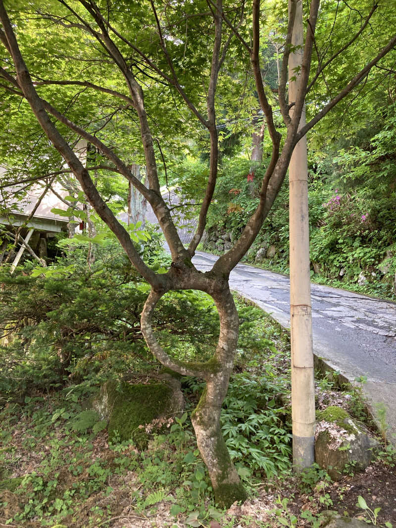 我さんの山の神温泉 なごみの湯のサ活写真