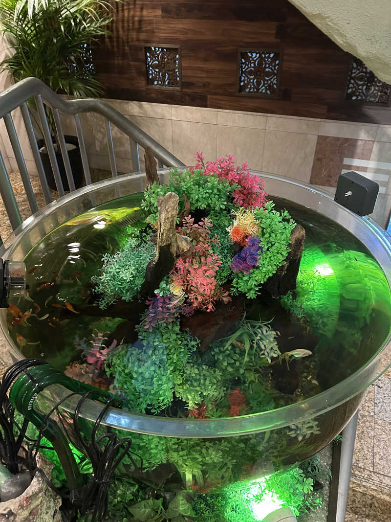 iさんのウェルビー福岡のサ活写真