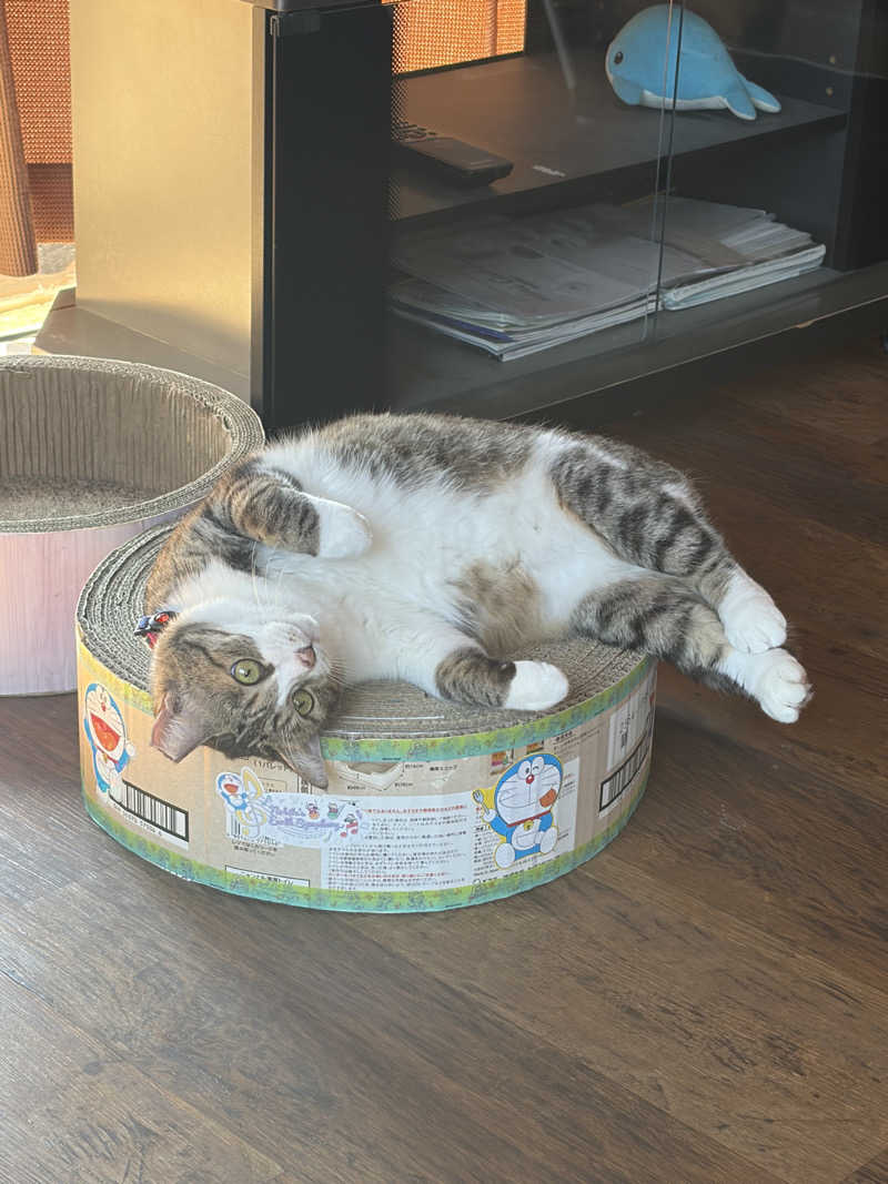 となりのトトノゥさんのヌルヌル有田温泉のサ活写真