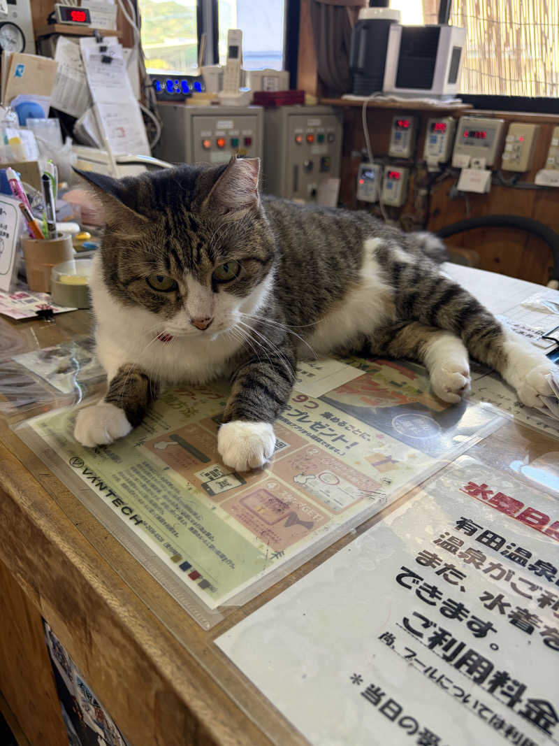 となりのトトノゥさんのヌルヌル有田温泉のサ活写真