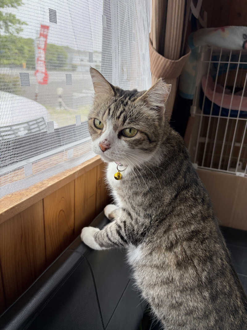 となりのトトノゥさんのヌルヌル有田温泉のサ活写真
