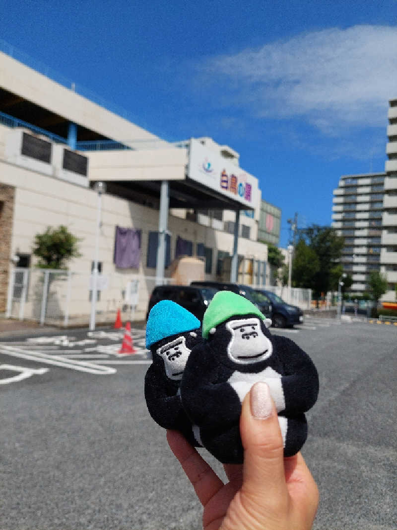 🦍中型ゴリラ🦍さんの天然温泉 白鳥の湯のサ活写真