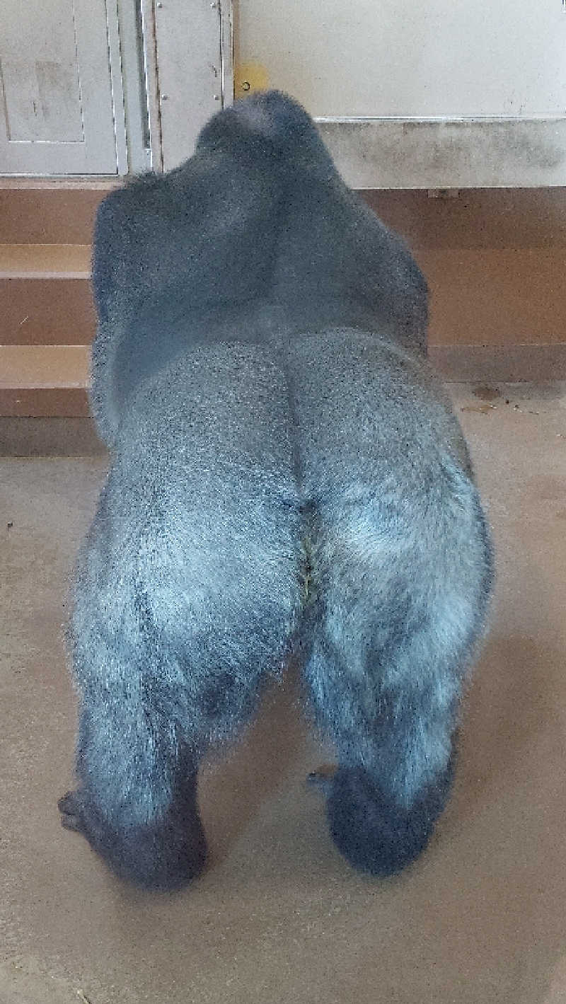 🦍中型ゴリラ🦍さんの鳴海温泉のサ活写真