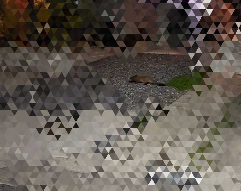 🦍中型ゴリラ🦍さんのぽかぽか温泉 新守山乃湯のサ活写真