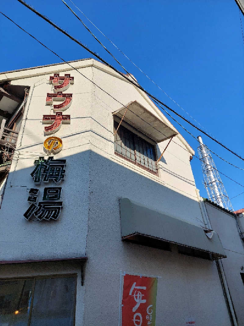 🦍中型ゴリラ🦍さんのサウナの梅湯のサ活写真