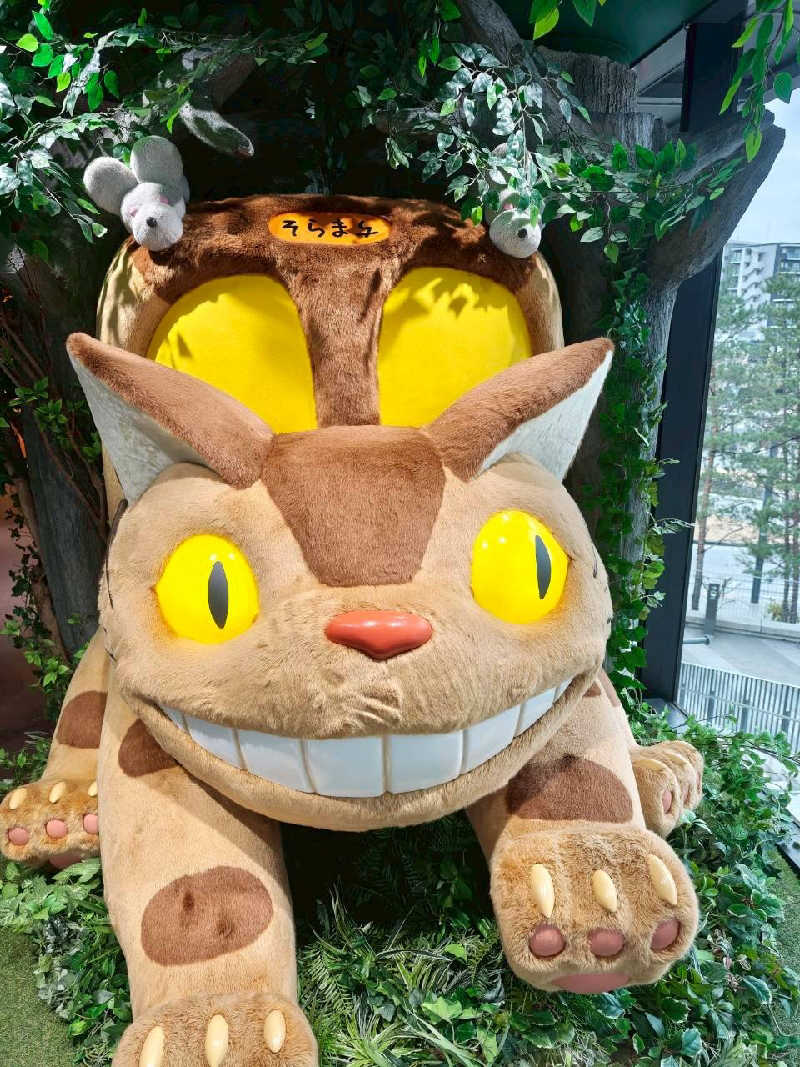 🦍中型ゴリラ🦍さんの生姜サウナ 金の亀のサ活写真