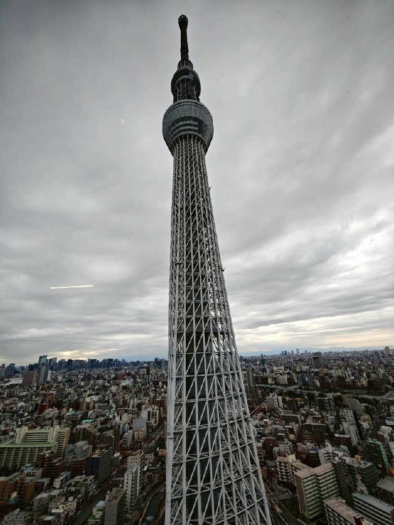 🦍中型ゴリラ🦍さんの生姜サウナ 金の亀のサ活写真