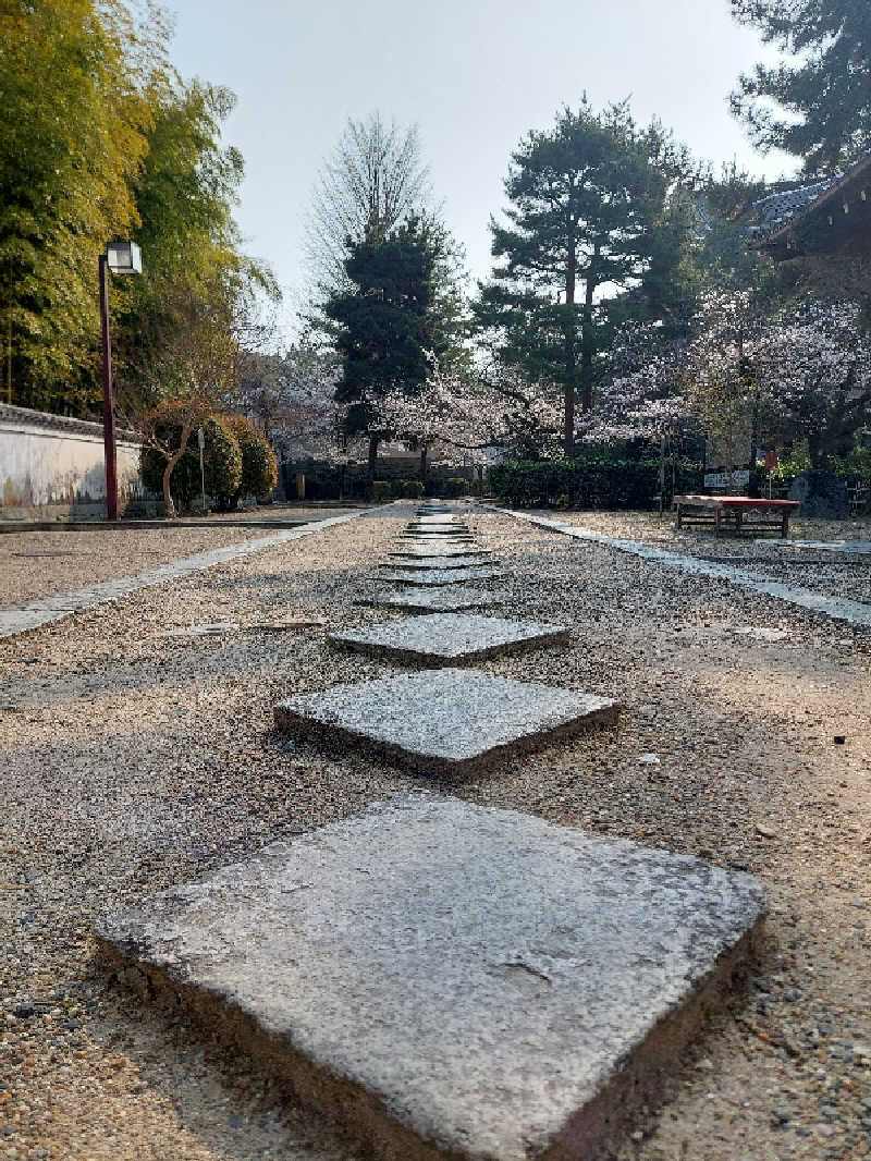 🦍中型ゴリラ🦍さんのサバスのサ活写真