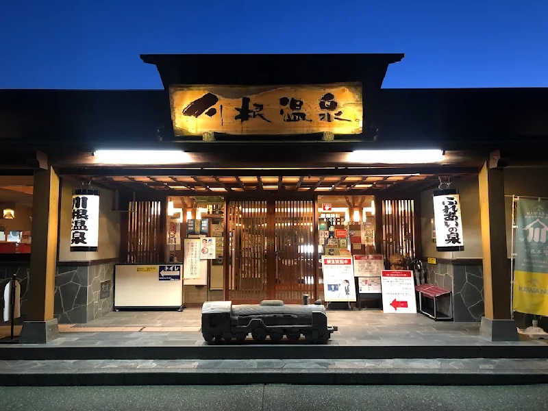 8ruさんの大井川鐵道 川根温泉ホテルのサ活写真