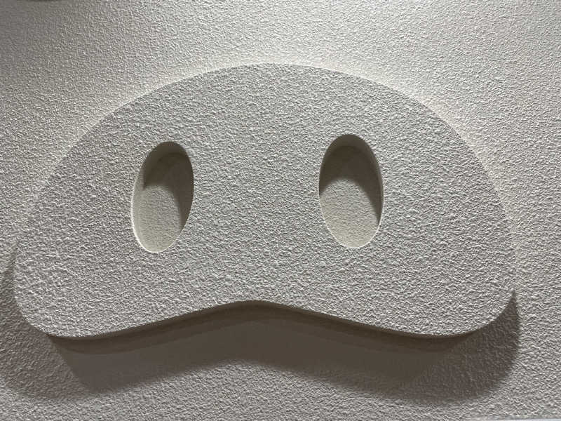 サウナ大好きさんの生姜サウナ「金の亀」のサ活写真