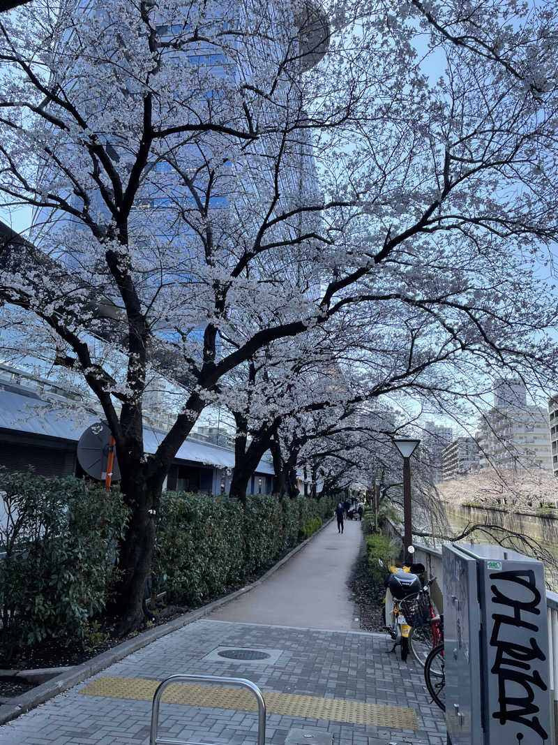 サウナ大好きさんのSAUNA XX「サウナエックス」目黒駅前店のサ活写真