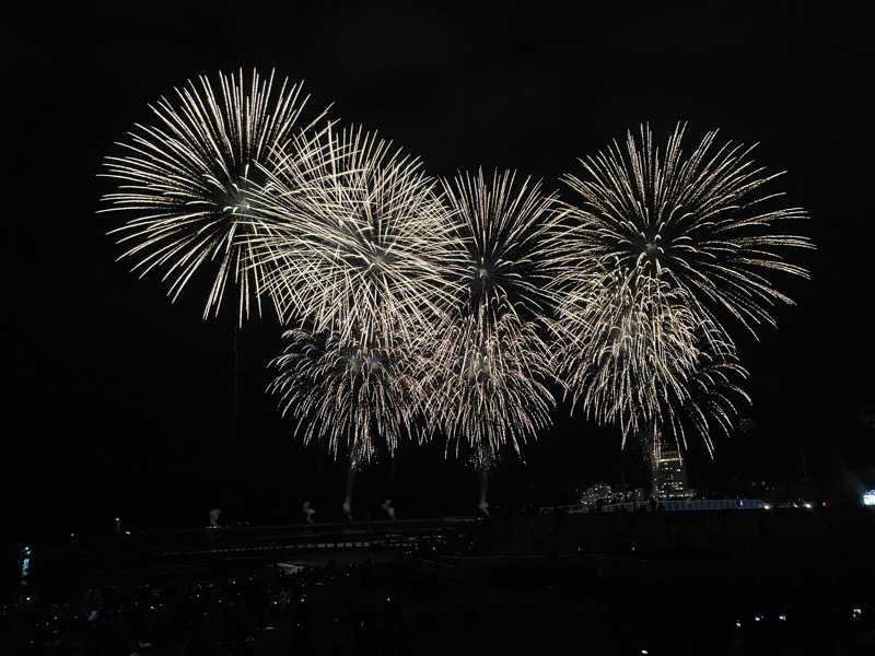 サウナ大好きさんの伊東園ホテル熱海館のサ活写真