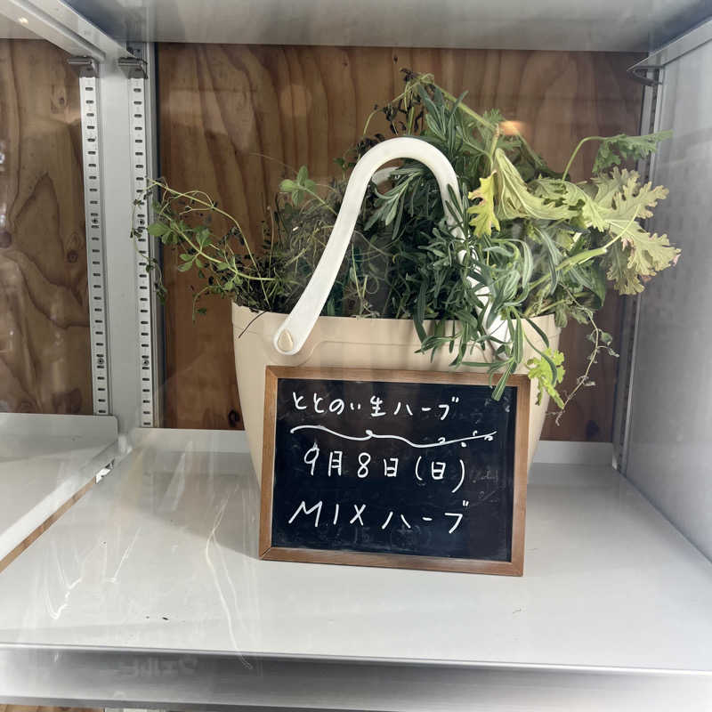 syrさんの各務原 恵みの湯のサ活写真