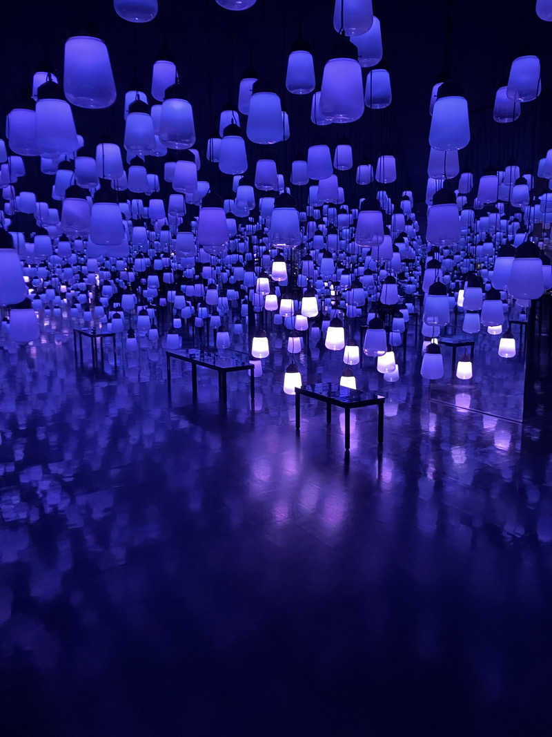 グルメフロンティアさんの御船山楽園ホテル  らかんの湯のサ活写真