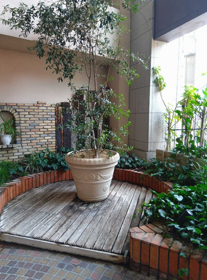 大西さんの神戸サウナ&スパのサ活写真