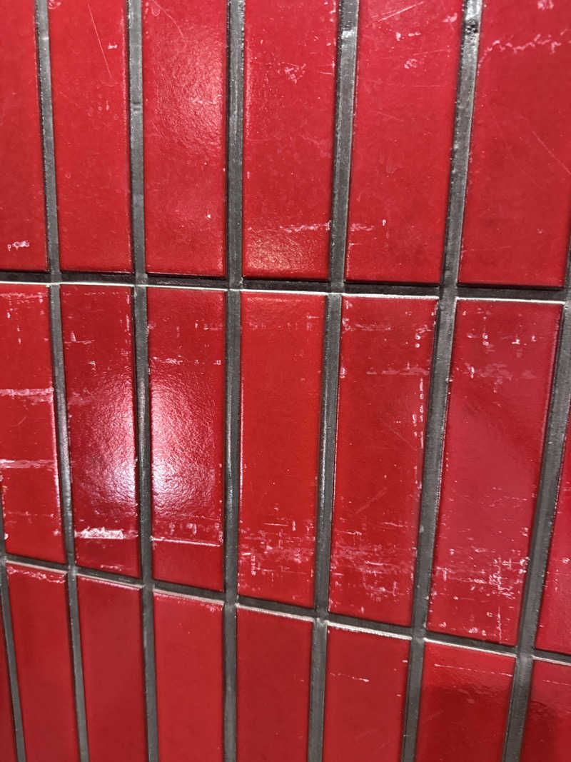 蒸しむらさんのサウナ&カプセルホテル 北欧のサ活写真