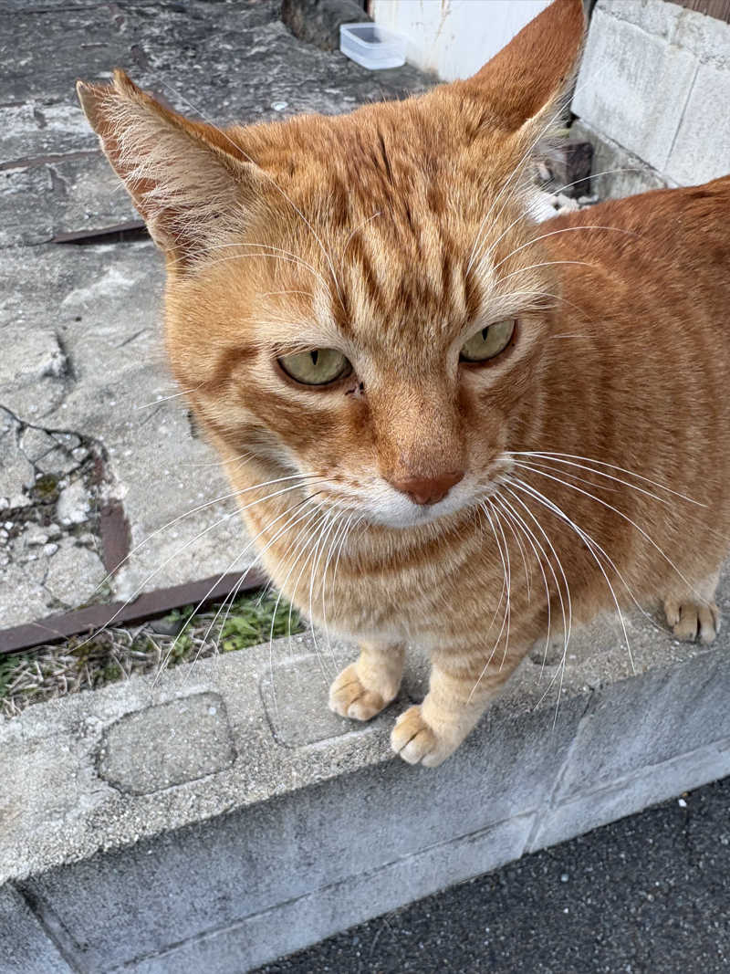 keiji nozakiさんのみなと温泉 波葉の湯のサ活写真