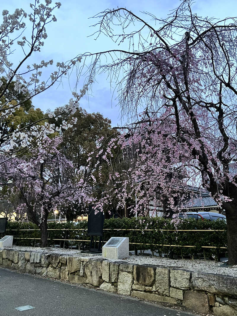 Nさんさんのラ・グラッセ山王橋のサ活写真