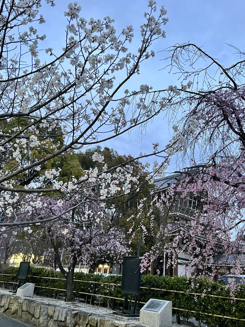 Nさんさんのラ・グラッセ山王橋のサ活写真