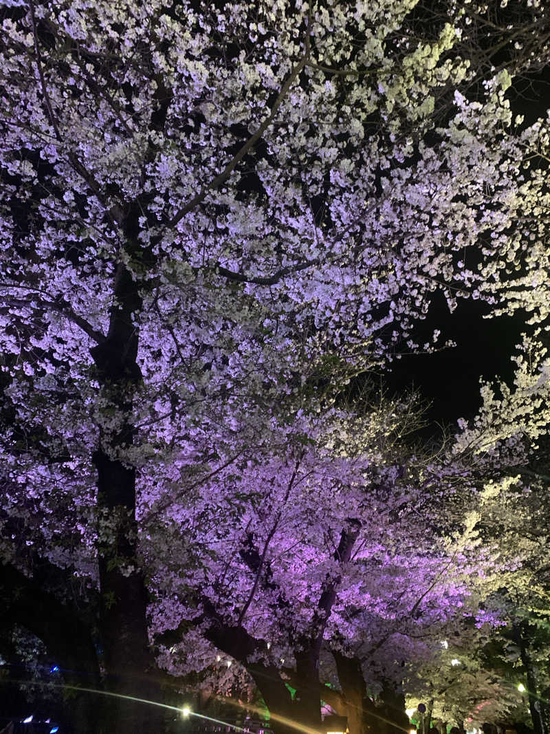 haniさんの飛鳥山温泉のサ活写真