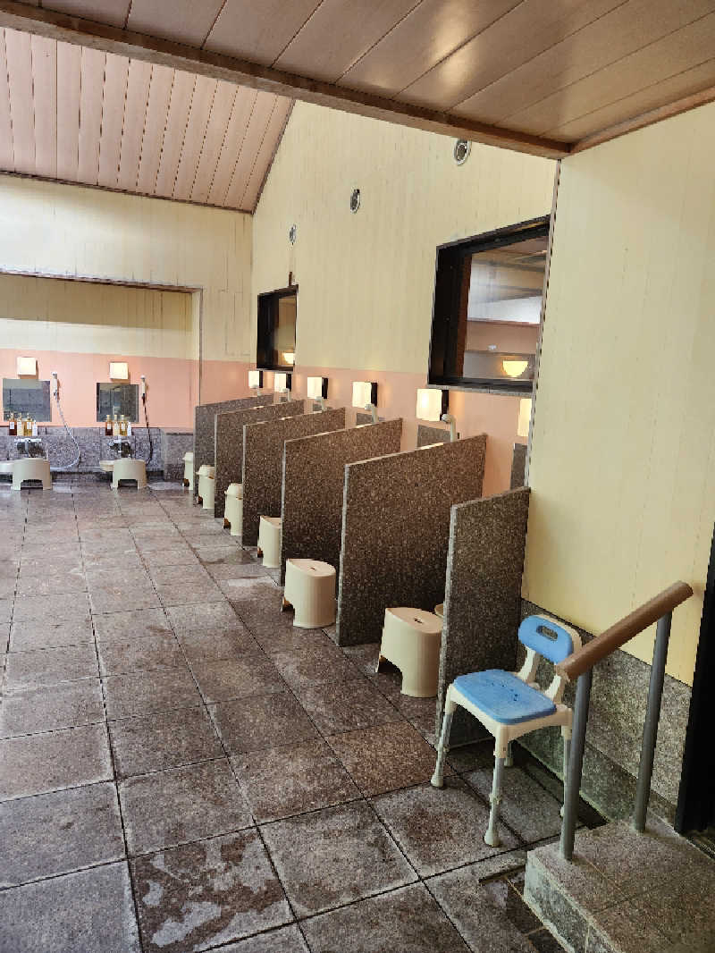 サウナー整体師ひのっちさんのかくれ湯の里 信玄館のサ活写真