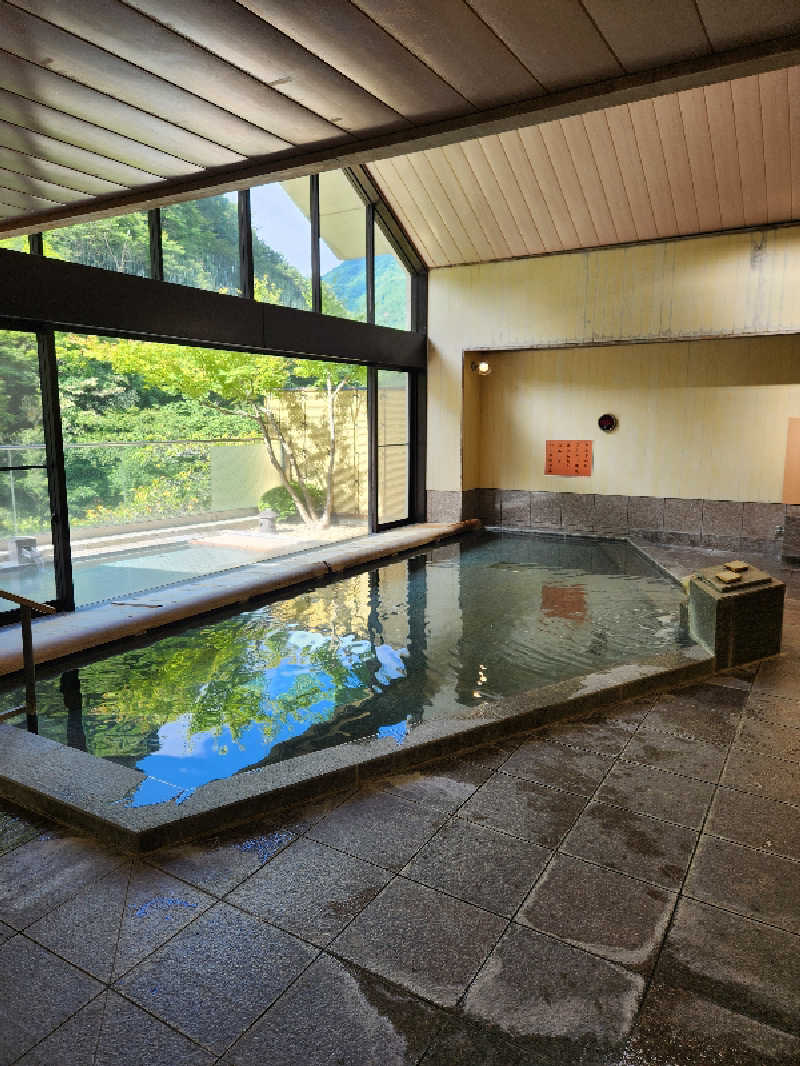 サウナー整体師ひのっちさんのかくれ湯の里 信玄館のサ活写真