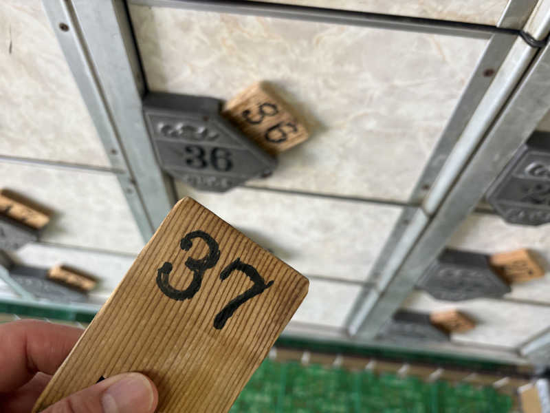 〇〇と熱気は高いところがお好きさんの鈴蘭温泉のサ活写真