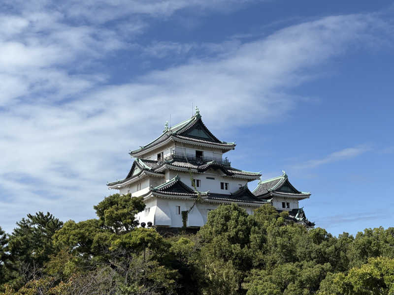 〇〇と熱気は高いところがお好きさんのふくろうの湯のサ活写真